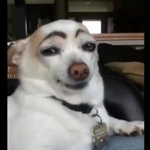 Meet your Posher, Adan